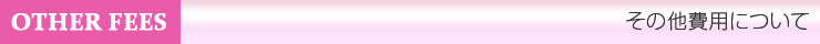 その他費用について